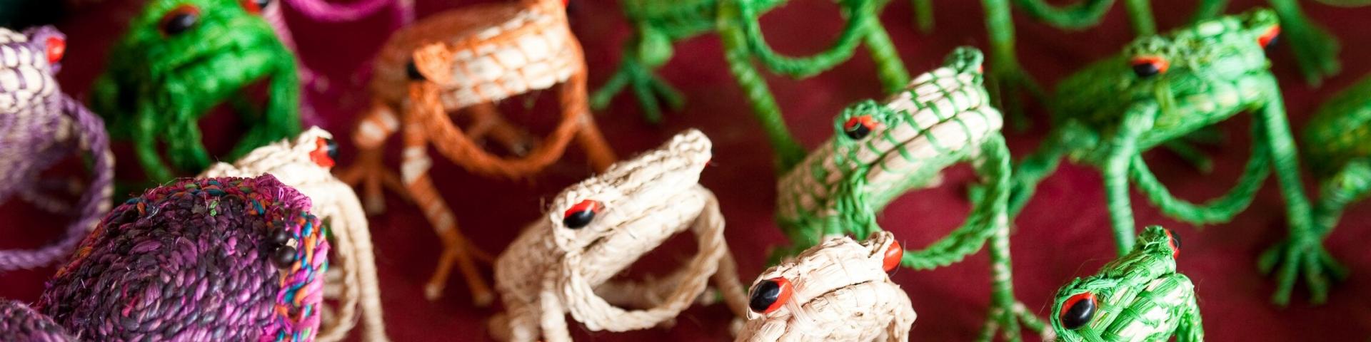 Wspieranie amazońskich plemion indigena